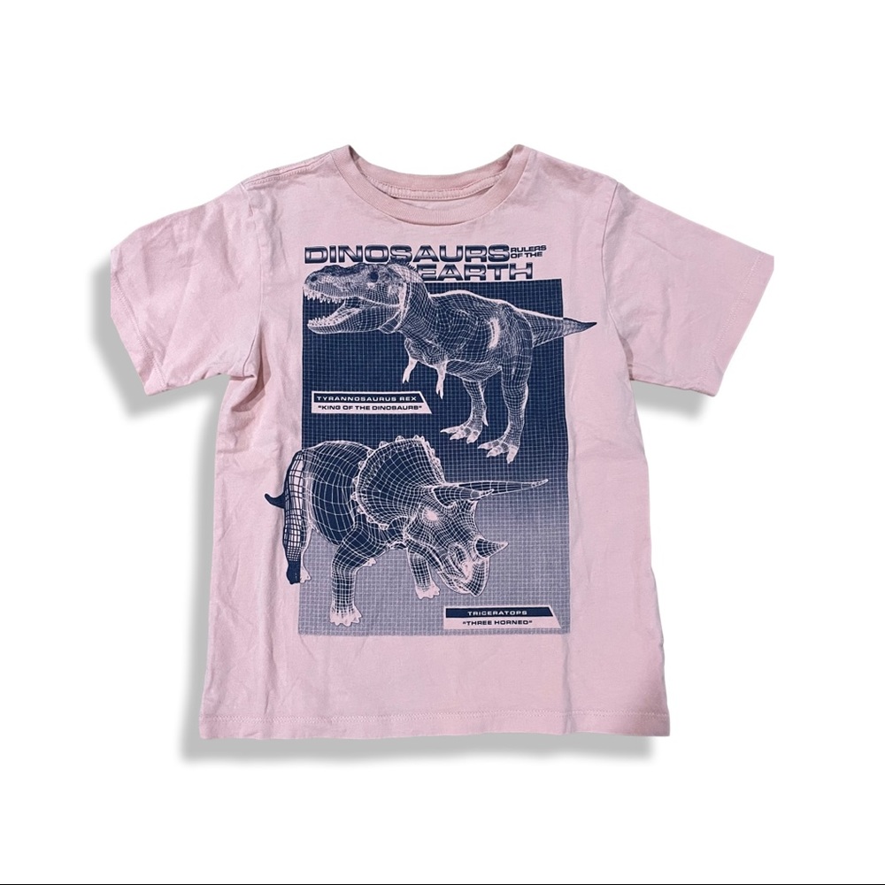 Boys Graphic Dinosaur T-Shirt